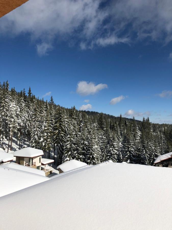 Pamporovo Villa Εξωτερικό φωτογραφία