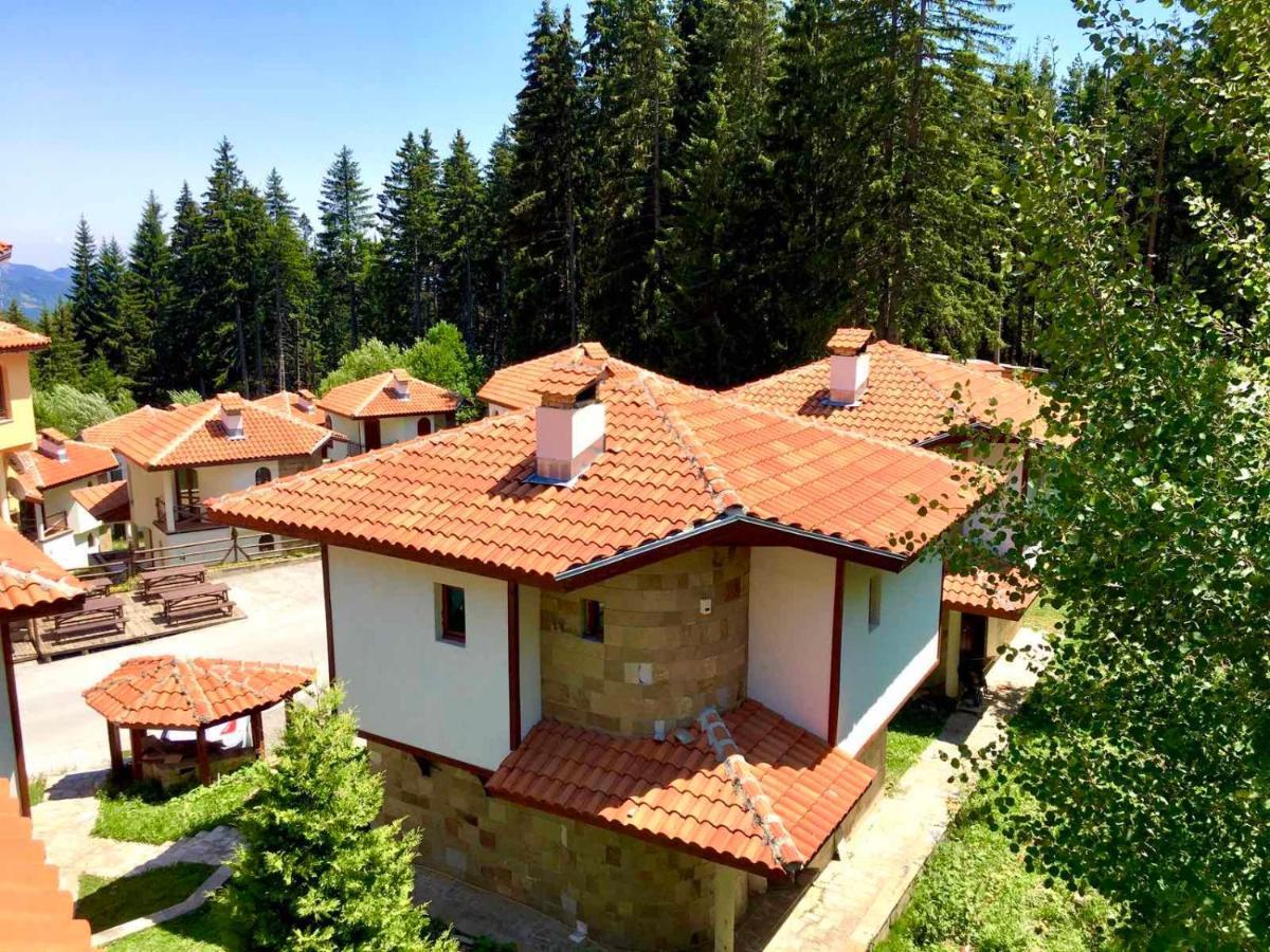 Pamporovo Villa Εξωτερικό φωτογραφία