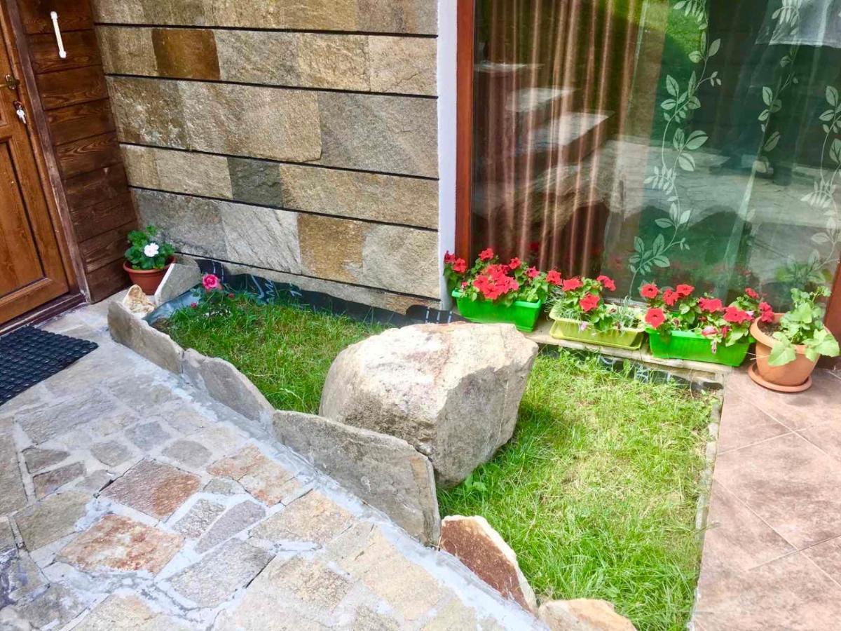 Pamporovo Villa Εξωτερικό φωτογραφία